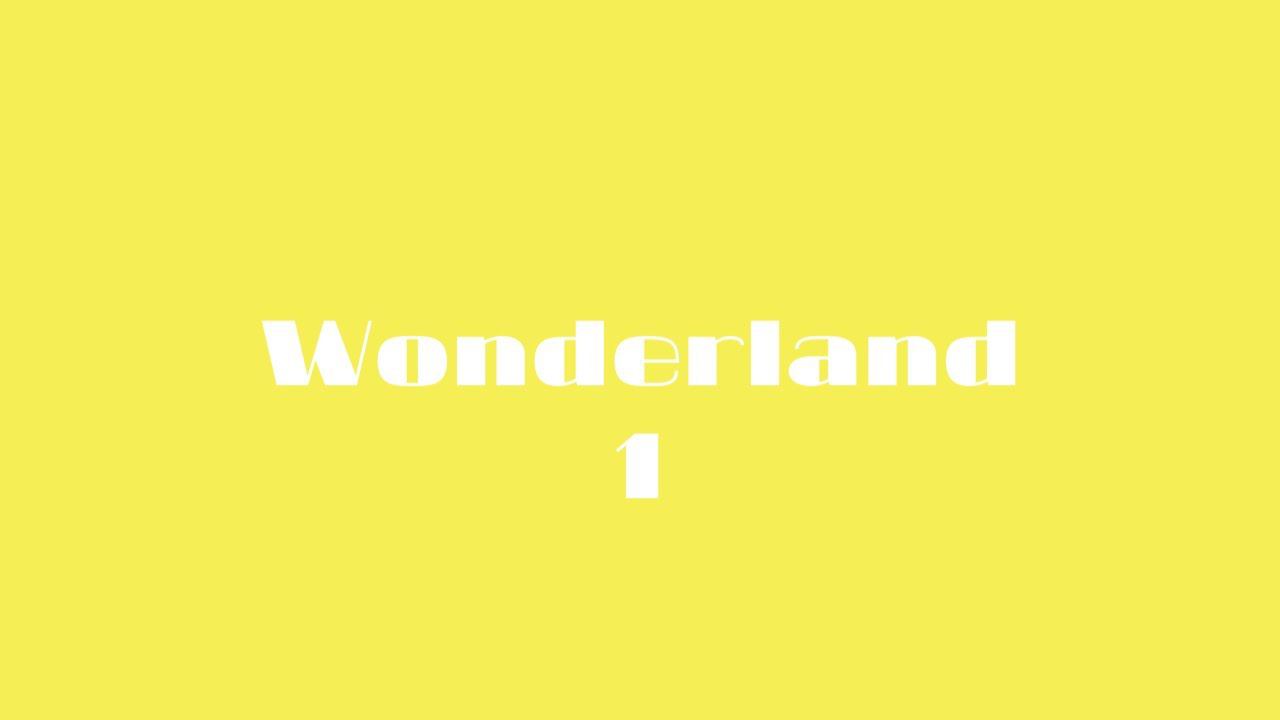 Wonderland 1 Lesson 14