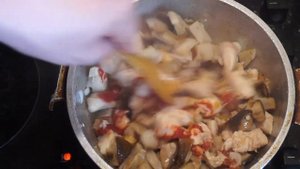 Гуляш из курицы и белых грибов в сливочном соусе.