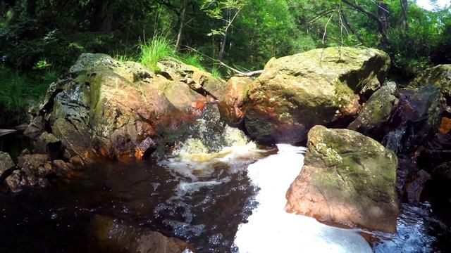 Звуки Природы для Релаксации1 Час Звуков Природы для Релаксации. Река с торфяной водой. смотреть онлайн