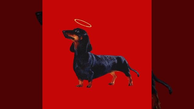 POLMATERI - Псы попадут в рай