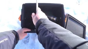 Обзор рыболовного ящика Друг 2