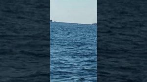 Рыбалка на терпуга в Владивостоке.