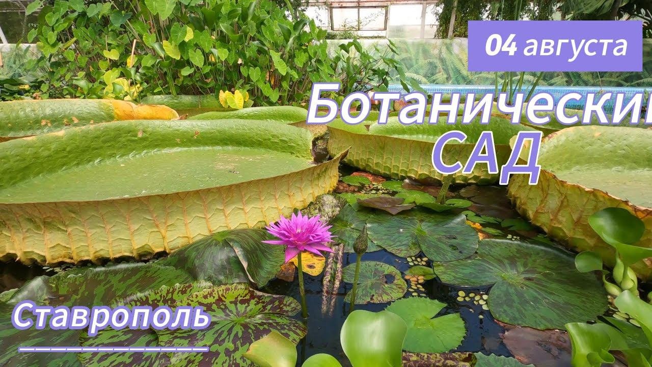 Ставропольский ботанический