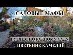 МОИ САДОВЫЕ МАФЫ / Цветущий  ЮЖНЫЙ САД / Цветут камелии ! Обзор коллекционного сада