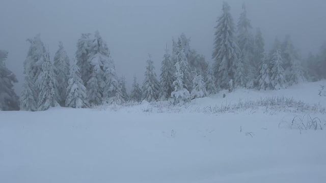 Beautiful Nature?. Snow❄️. BRP Snowmobile. Toyota Highlinder 2021 2.5 HYBRID? [iPHONE 13 PRO MAX] смотреть онлайн