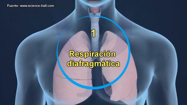 Anxiety disorders. NERVOUSNESS. Healing with natural home remedies смотреть онлайн