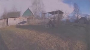 Воспитание щенка лайки 1 часть