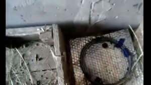 ЗИМНЕЕ ОТОПЛЕНИЕ ВОДЫ В НЕОТАПЛИВАЕМОМ САРАЕ СВОИМИ РУКАМИ