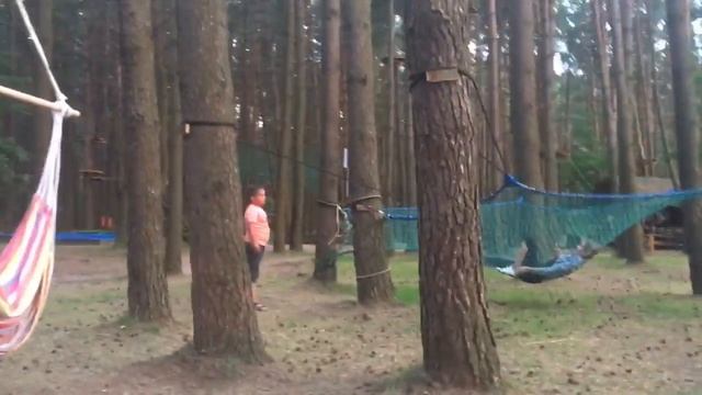 Очень большой VLOG!||Даша кулинар, красивый рассвет, кошечка ? смотреть онлайн