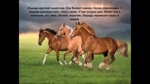 Кто пасётся на лугу?