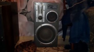 Амфитон 25ас 027 и усилитель амфитон 002