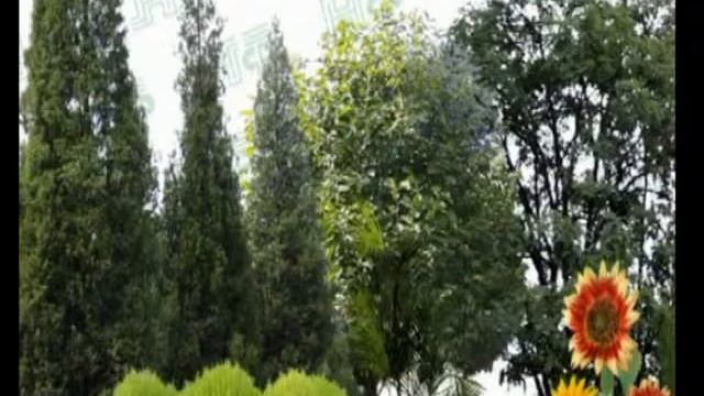 novofert.flv смотреть онлайн