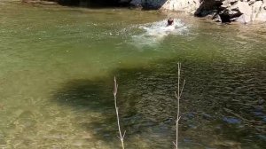 VID_20190809_125549.mp4