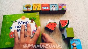 Мир вокруг меня. Книги первого года. 9 книжек кубиков. Книги для самых маленьких