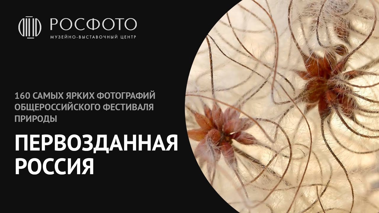 160 самых ярких фотографий Общероссийского фестиваля природы «Первозданная Россия» в РОСФОТО || 2018