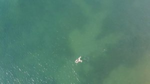 Кунашир / Лагунное 2020 - Kunashir Island.