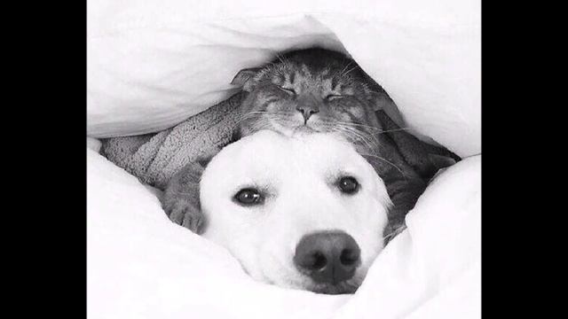 Курс на планету по имени детство Автор и исполнитель Филиппов Евгений смотреть онлайн