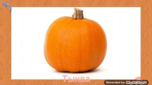 Карточки Домана Часть 8 Овощи!