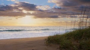 Island Beach Sunrise with Rolling Waves