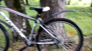 Тест велосипеда Стерн динамиг 2.0