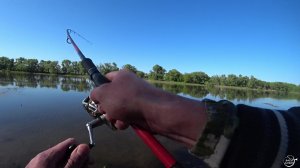 Отводной поводок. Не вошедшее за май (27.05.2022)