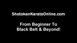 Shotokan Karate Training Videos Target Exercise Using Oi Zuki Techniquee