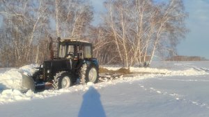 #мтз 952.2 пробивается по полям.Подкормка дикой косули.зима 2023.