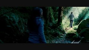 Bella and Edward/ Белла и Эдвард. (поляна) - Lion