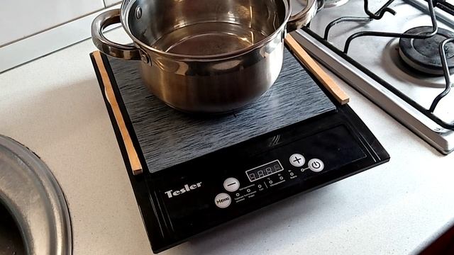 Индукционная плита Tesler PI-13