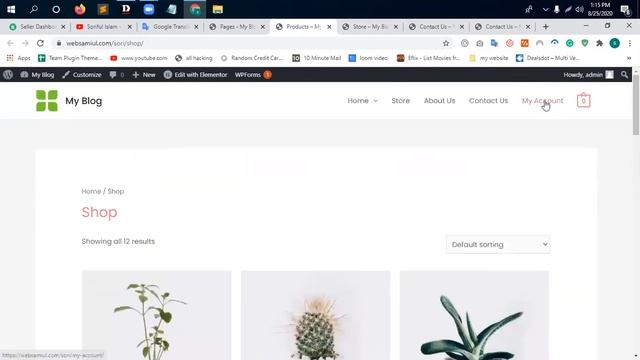 astra woocommerce Website Customization [#7] | WordPress Bangle Tutorial | websoriful смотреть онлайн