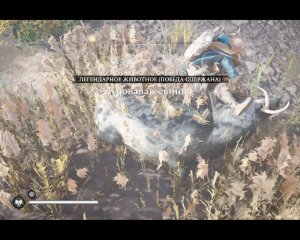 Assassin's Creed Valhalla Прохождение 325 Кровавая свинья. Йорвикшир.