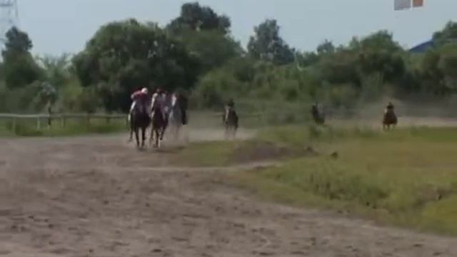 Цыганские лошади смотреть онлайн