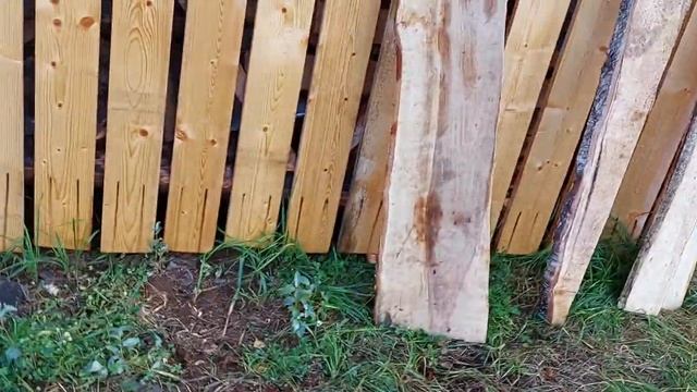 БЕНЗОПИЛА ЧЕМПИОН 251 И СЕЛЬСКИЕ ДЕЛИШКИ! смотреть онлайн