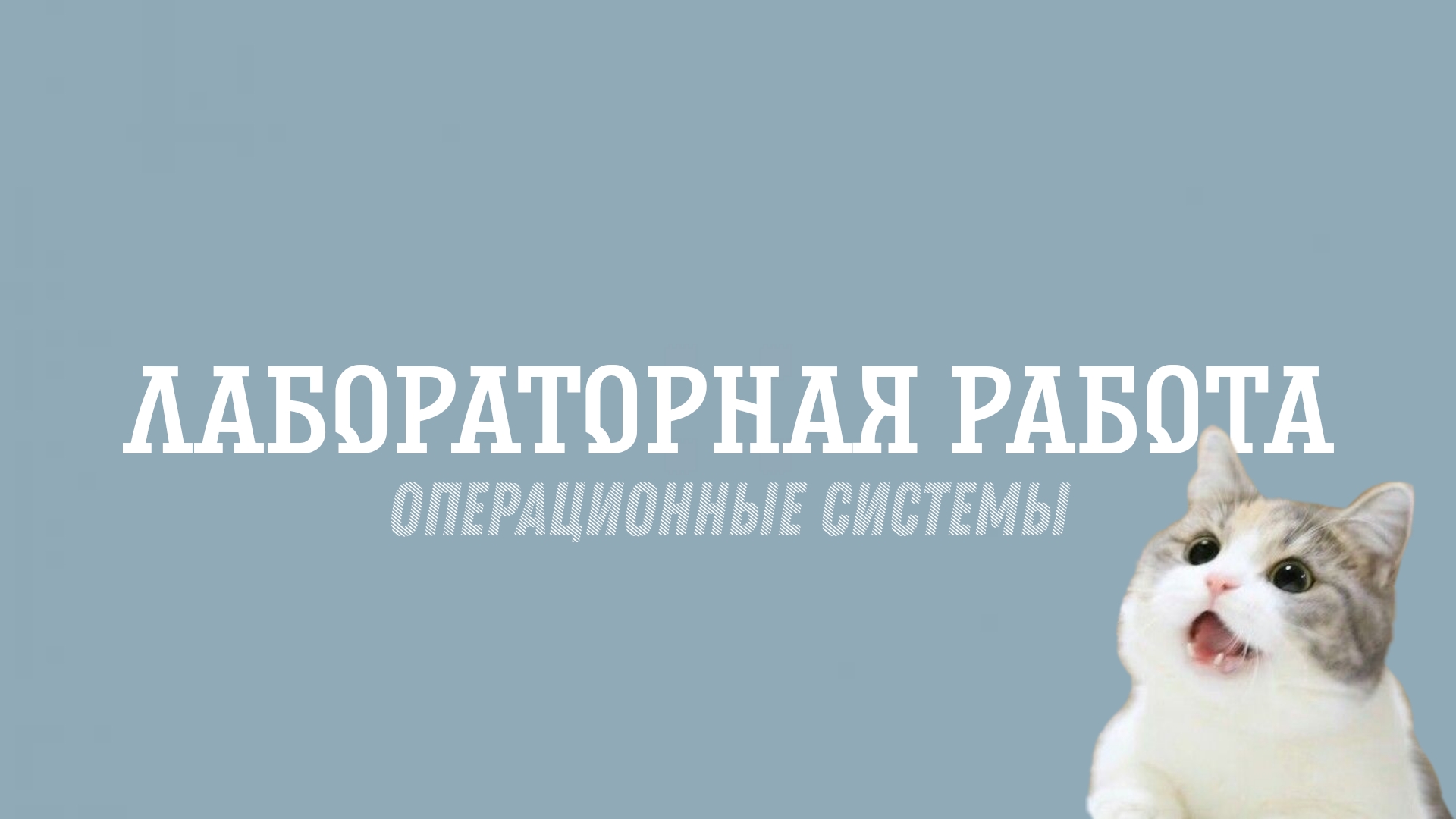 Лабораторная работа №10