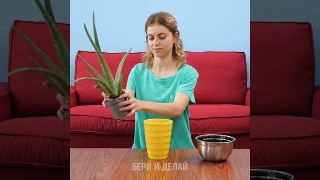 21+ ПРОСТЫХ ЛАЙФХАКОВ НА КАЖДЫЙ ДЕНЬ, КОТОРЫЕ ОБЛЕГЧАТ ЖИЗНЬ смотреть онлайн