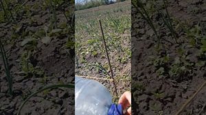 Делаем насадку на опрыскиватель для баковой смеси