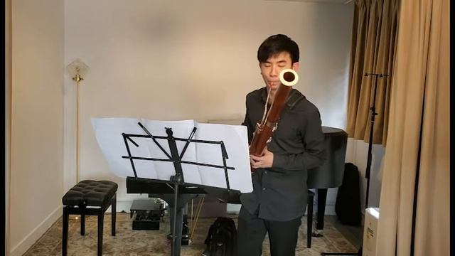 Osborne - Rhapsody for Bassoon смотреть онлайн