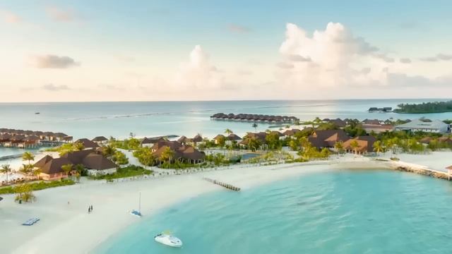 От тебя убудет что ли? Подумаешь, переспишь с ним несколько раз!» - закричал муж, склоняя жену к... смотреть онлайн