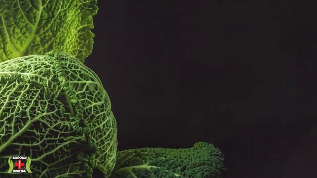 Кушаешь КАПУСТУ каждый день - тогда смотри это видео. ВСЯ ПРАВДА О КАПУСТЕ