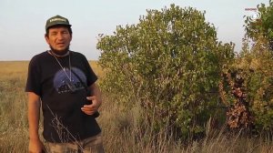 Вадим Чернобров о самовозгорании. Бисен Мамаев