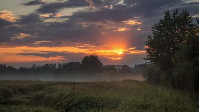 Poetry Flight смотреть онлайн