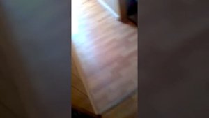 Скинули планшет с 5 этажа