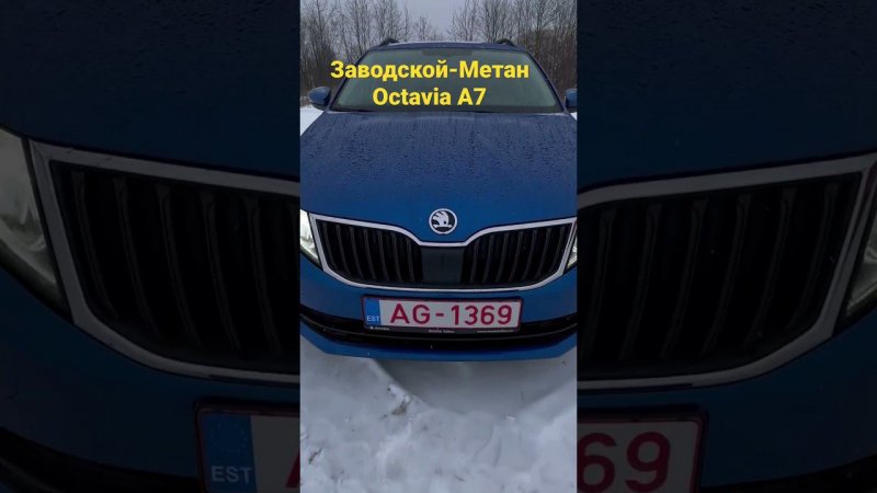 Skoda Octavia A7 на Заводском Метане