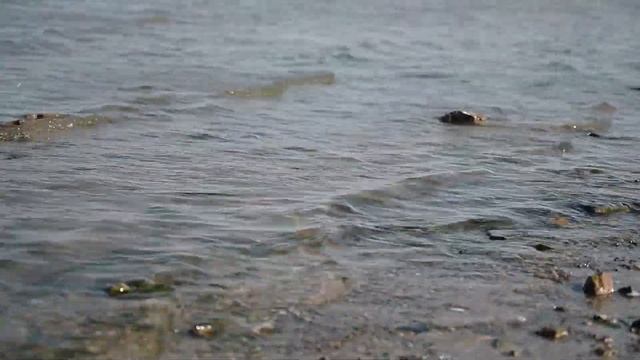 Есть Души Как Лужи и Как Океаны (Алина Бриз) смотреть онлайн