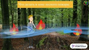 Правила безопасности при тушении лесных пожаров