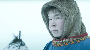 Жизнь оленеводов. Перешли через Карское море с полуострова Ямал в лесотундру