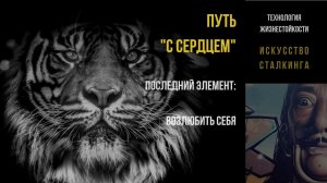 "Путь с сердцем"#3 Зачем надо любить и принимать себя