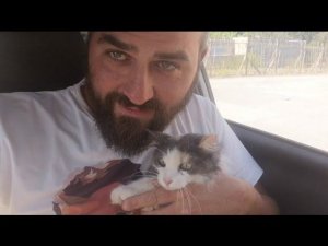 Кити-кити Малышки больше нет