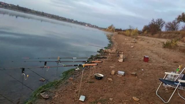 Рыбачим на Донецком море 26.10.2020. смотреть онлайн