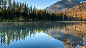 My Fishing World Подлещик без прилова.